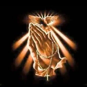 Meet your Posher, Freddie